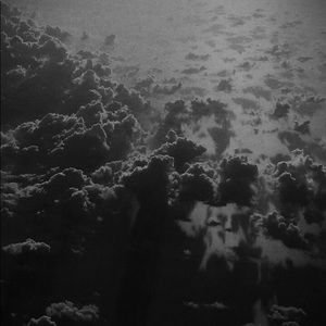 Meet your Posher, Dalia